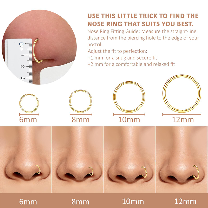 16G 316L Surgical Steel Hinged - Body Jewelry Lip Ring ulasan dan harga